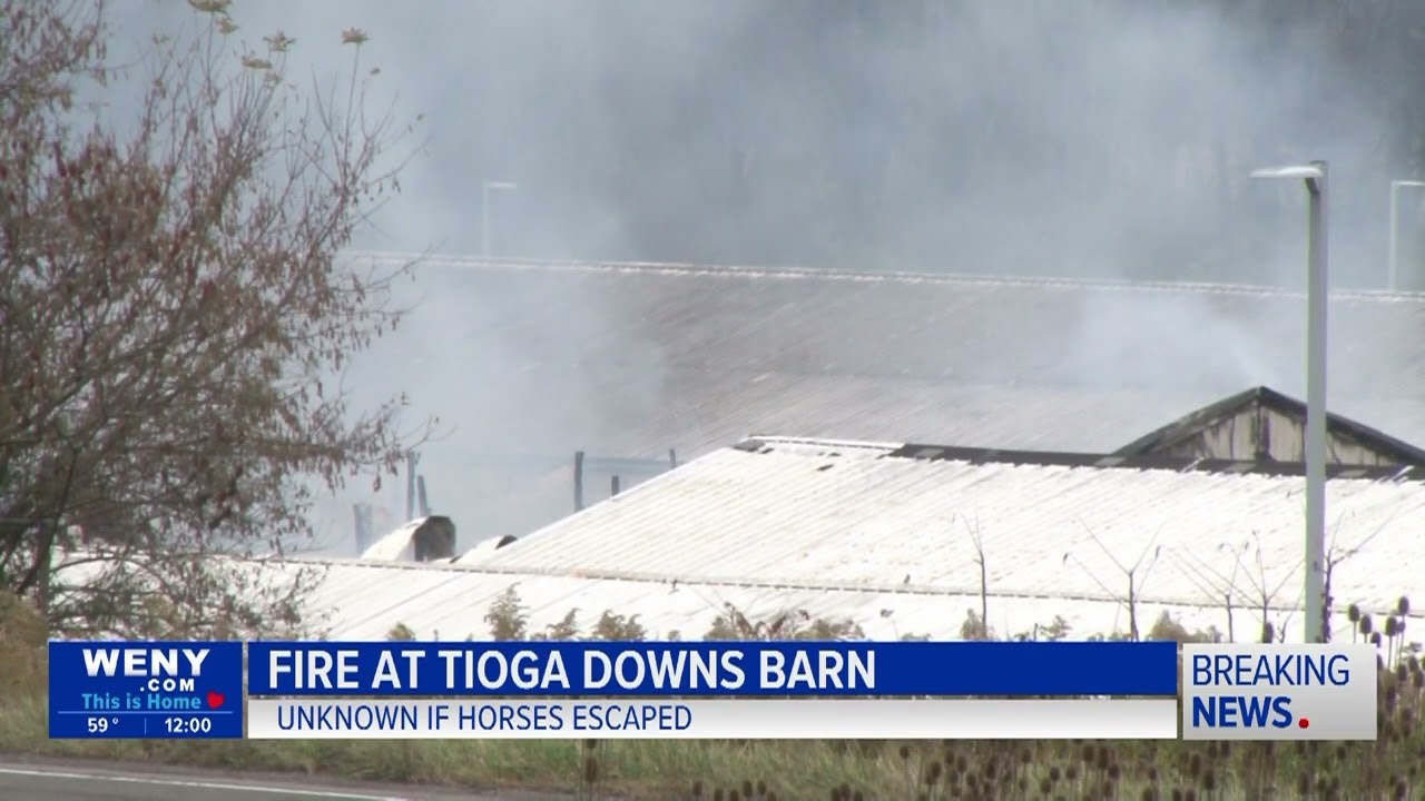 Barn fire at Tioga Downs with horses inside