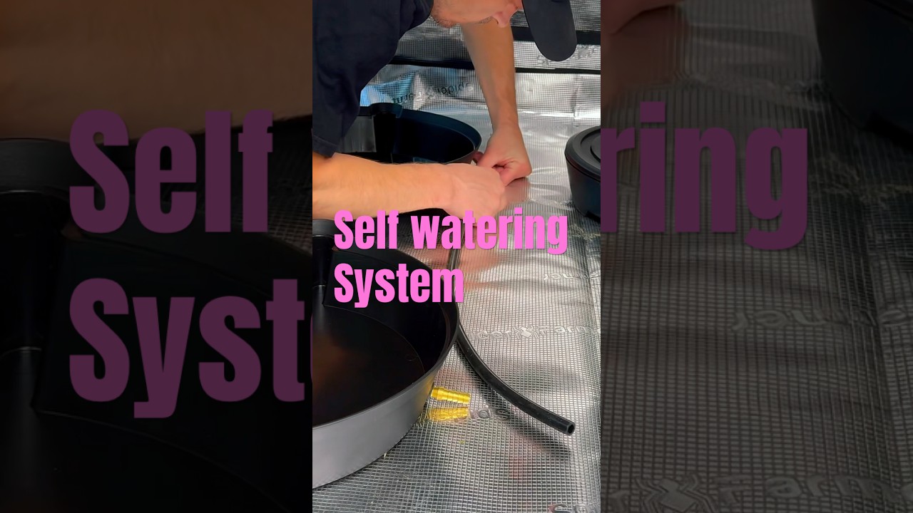 AC infinity self watering system