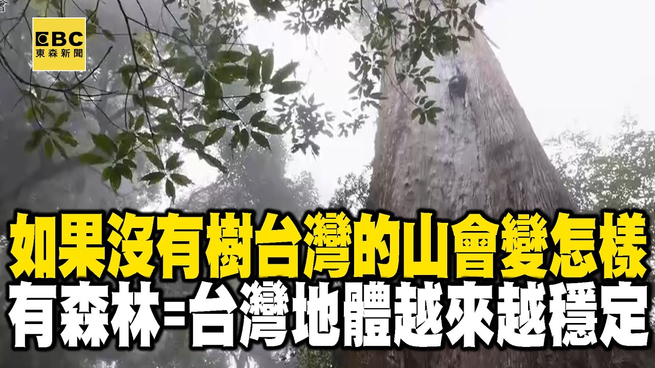 【精選】如果沒有樹「台灣的山會變怎樣」？有了森林「台灣的地體越來越穩定」 @EARTHFOCUS_EBC ｜舒夢蘭