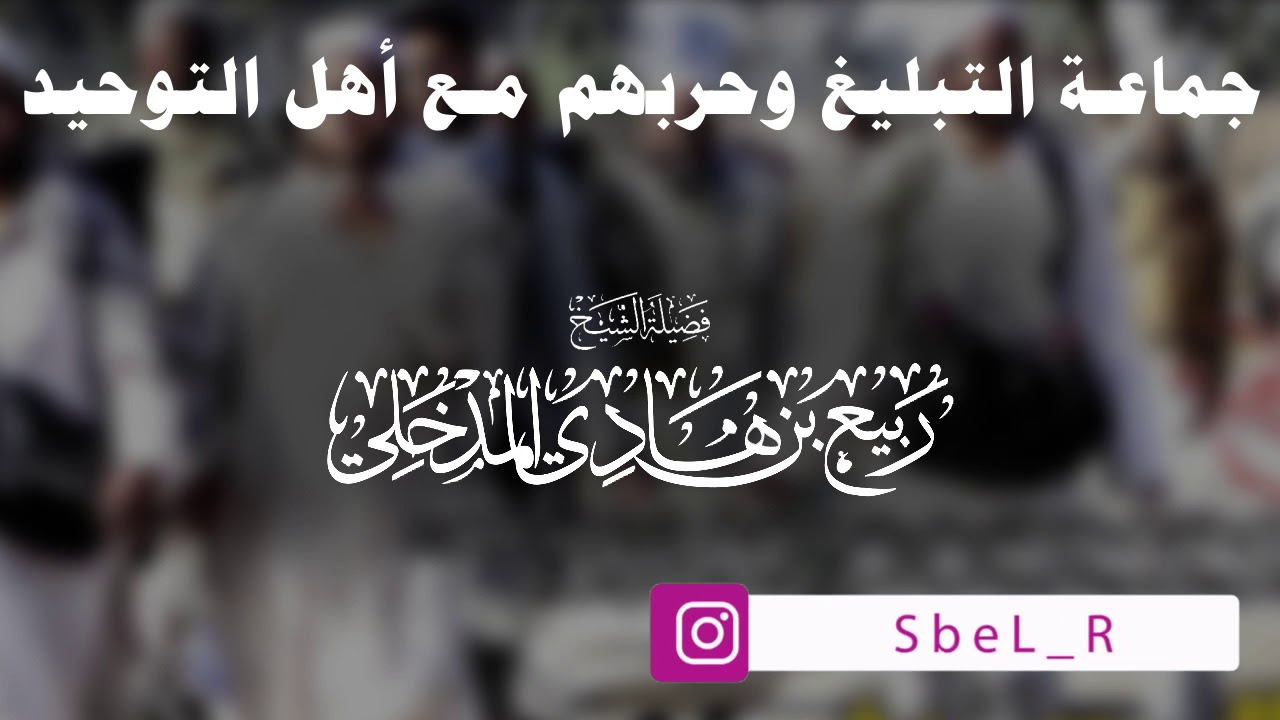 جماعة التبليغ وحربهم مع أهل التوحيد | الشيخ ربيع بن هادي المدخلي
