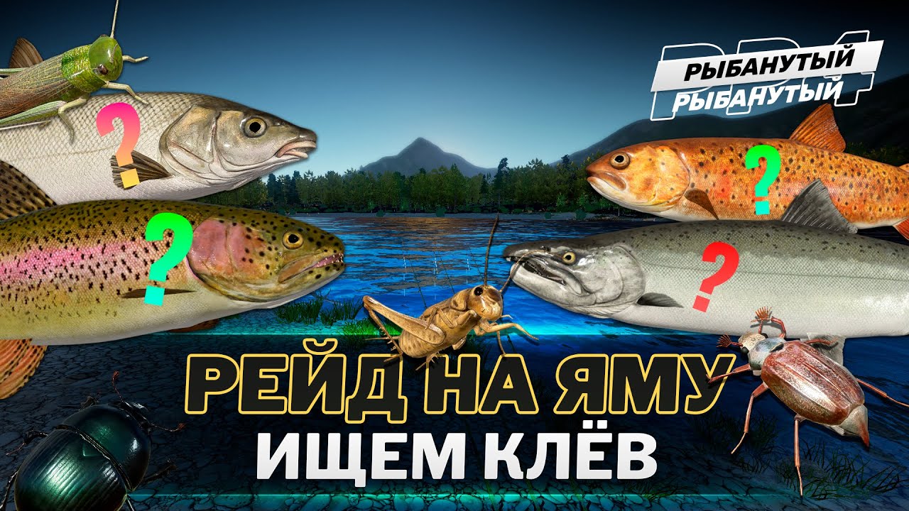 ФАРМ НА ЯМЕ ● Спиннинг и поплавок ● Русская Рыбалка 4