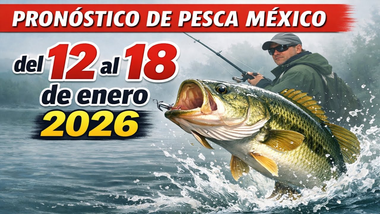 PRONÓSTICO DE PIQUE en México del 12 al 18 de enero 2026 ¡Suelta todo y vámonos a pescar!