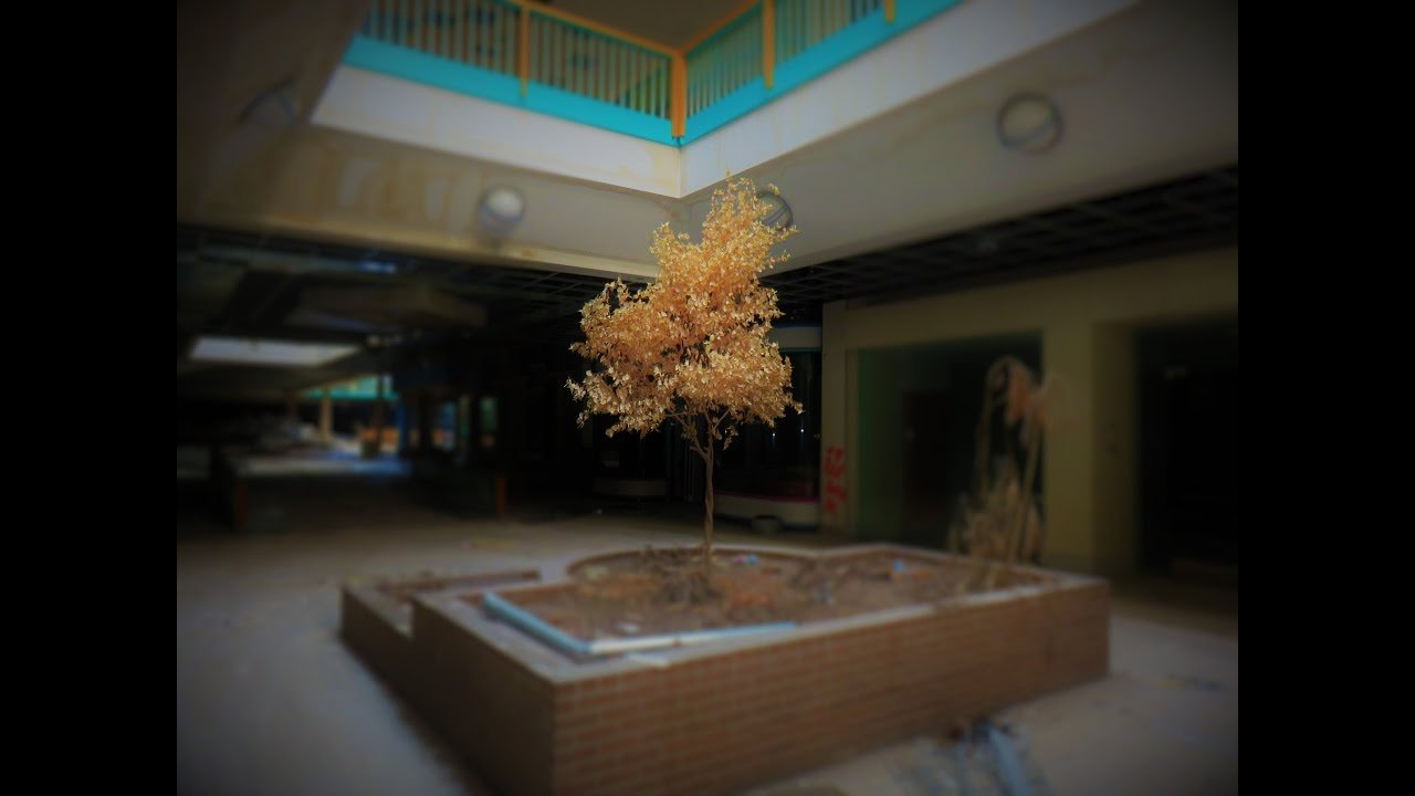 Abandoned Metro North Mall in the Midwest II