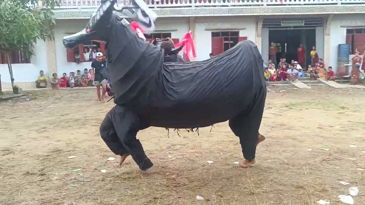 ဧရာတိုင်းကျော်+ပြည်ကျော်တိူ့ရဲ့ဒိုးပတ်အက😘🥰🥰🥰