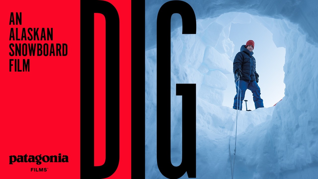 DIG