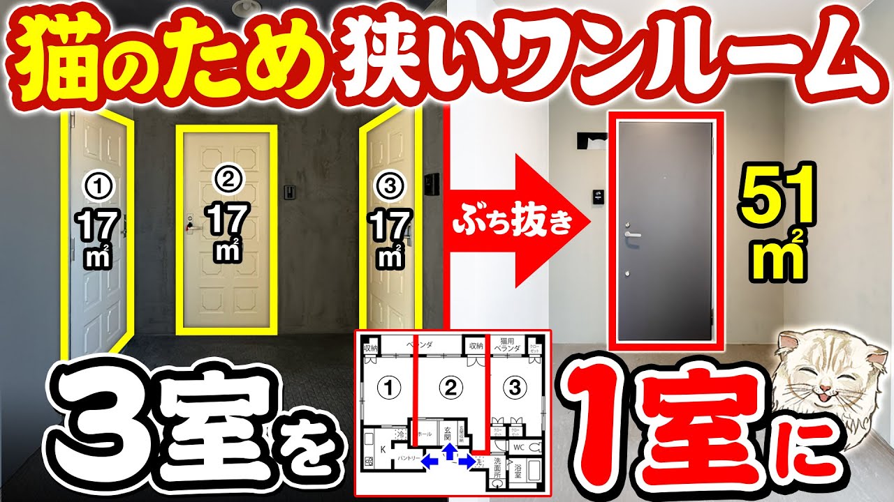 【3室を1室に合体】猫のためにワンルームマンションの壁をぶっ壊しました！広くなった猫可賃貸物件をルームツアー