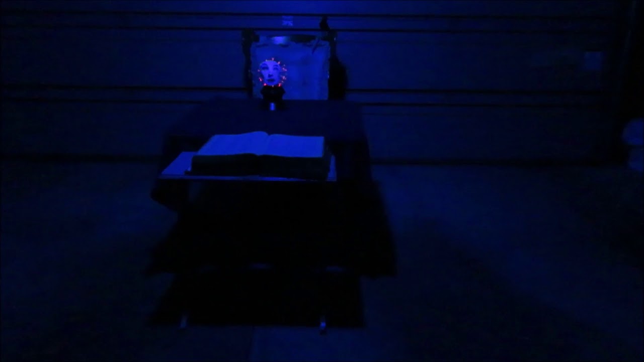 Homemade Haunted Mansion - Disneyland