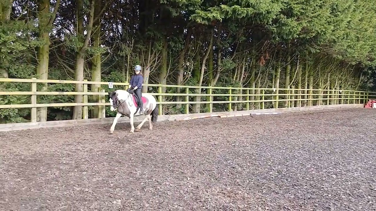 E-Riders February 2026 - British Dressage Intro 4 ridden by Alyssa Campbell on Campfire Ember