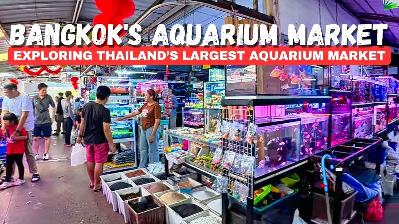 Thailand’s Most Surreal Aquarium Market? | Chatuchak Fish Market