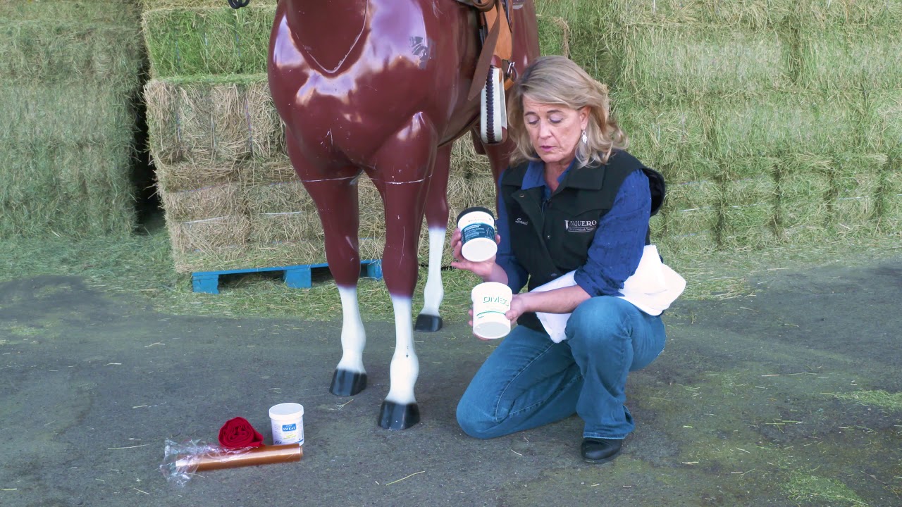 Basic Leg Sweat For Your Horse