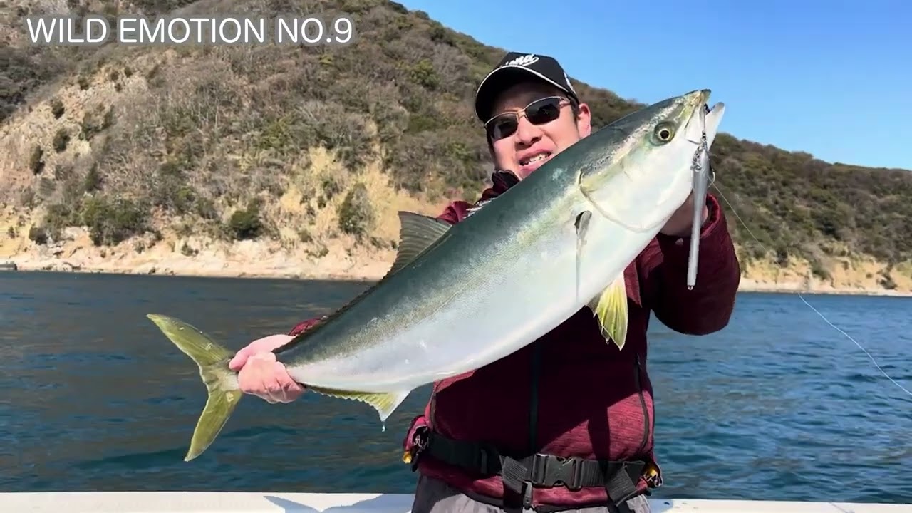 松山沖好釣❗️90オーバー❗️
