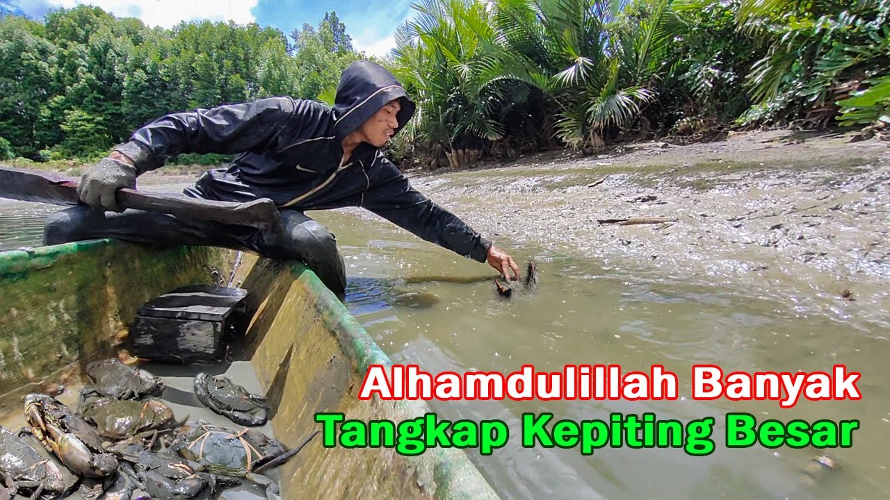 Tangkap Kepiting Menggunakan Perahu | Banyak Tangkap Ukuran Besar.