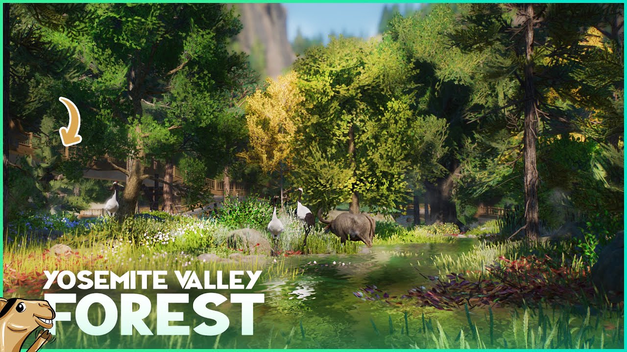 NATURAL Multi-Species Forest - Yosemite Valley Planet Zoo