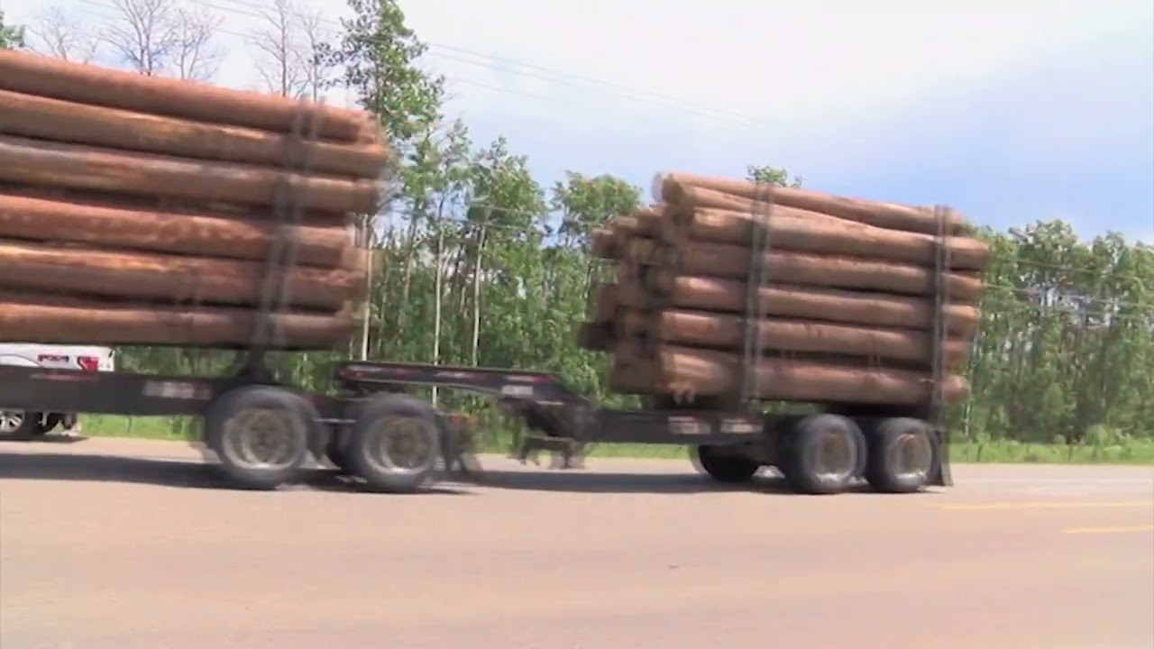 Fort Nelson First Nation to get $250K for pellet mill project amid federal funding boost