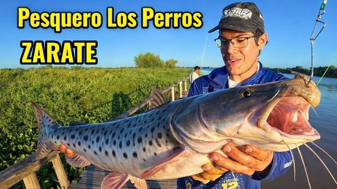 TREMENDA PESCA EN LOS PERROS salió de todo! | el chuza pesca