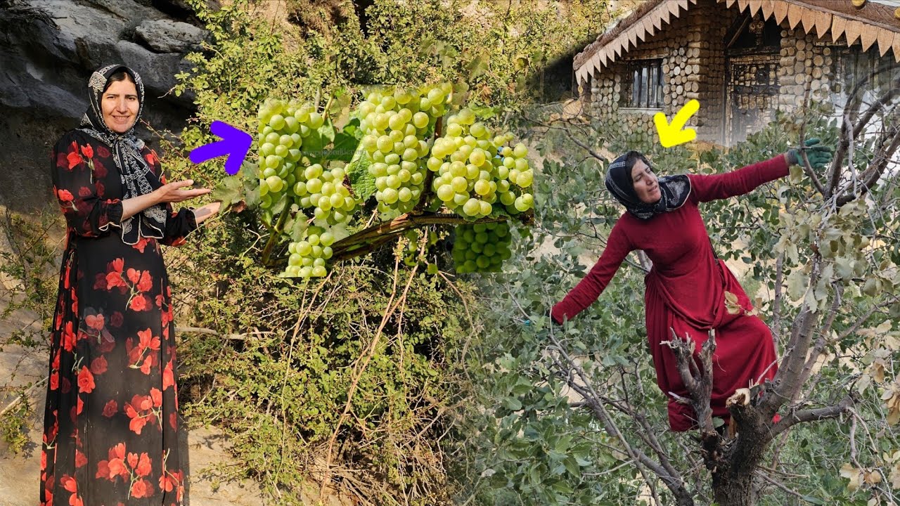 Sick Nomadic Mother in the Heart of the Mountains! 😢 Gathering Firewood for Her Children