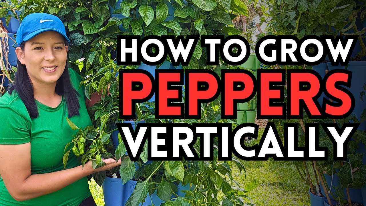 Small Space, Big Harvest: Growing 30 Pepper Plants In A GreenStalk Vertical Garden Tower