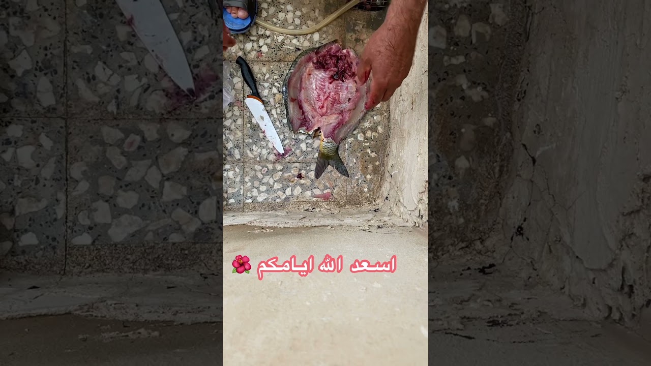 طريقة تنظيف سمك البني 😘 للشوي 😍