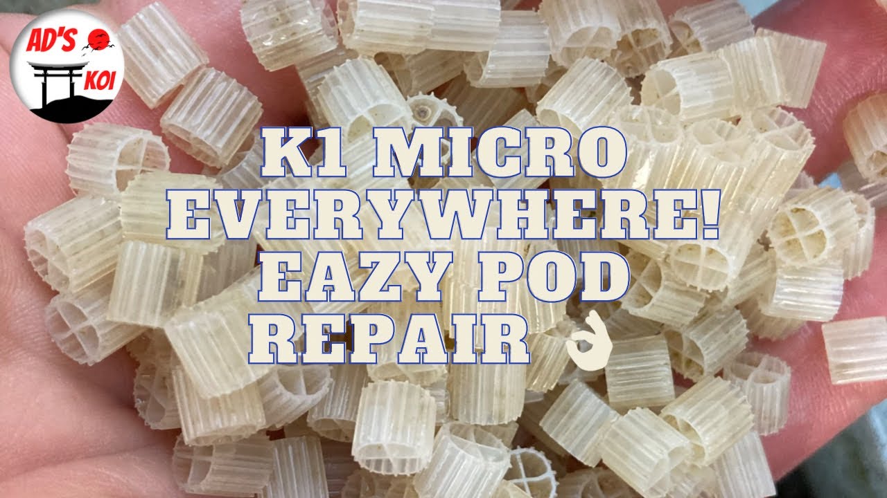 Evolution aqua eazy pod problems and repair ⛩🦈#koipond
