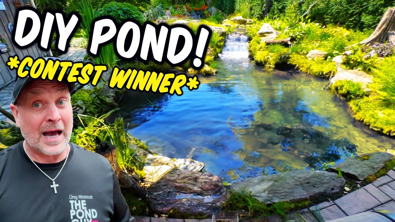 DIY Backyard POND PARADISE. $ WINNER $