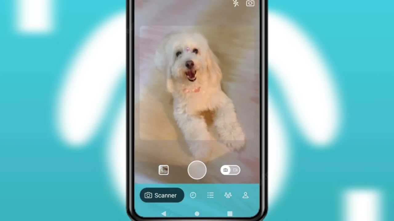DOG SCANNER IDENTIFICAÇÃO DA RAÇA DO SEU CÃO 🐕🐩