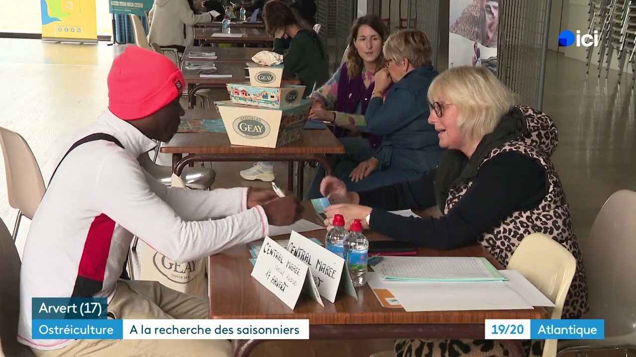 Les ostréiculteurs multiplient les stratégies pour recruter des saisonniers avant les fêtes