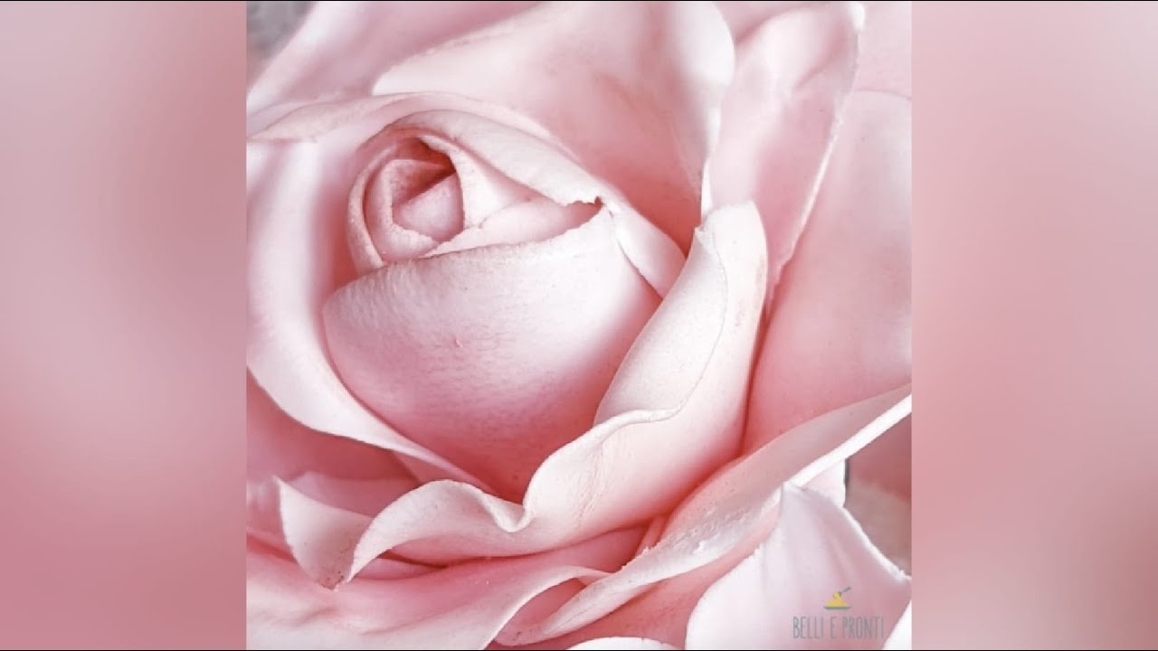 Rose in pasta di zucchero senza stampi