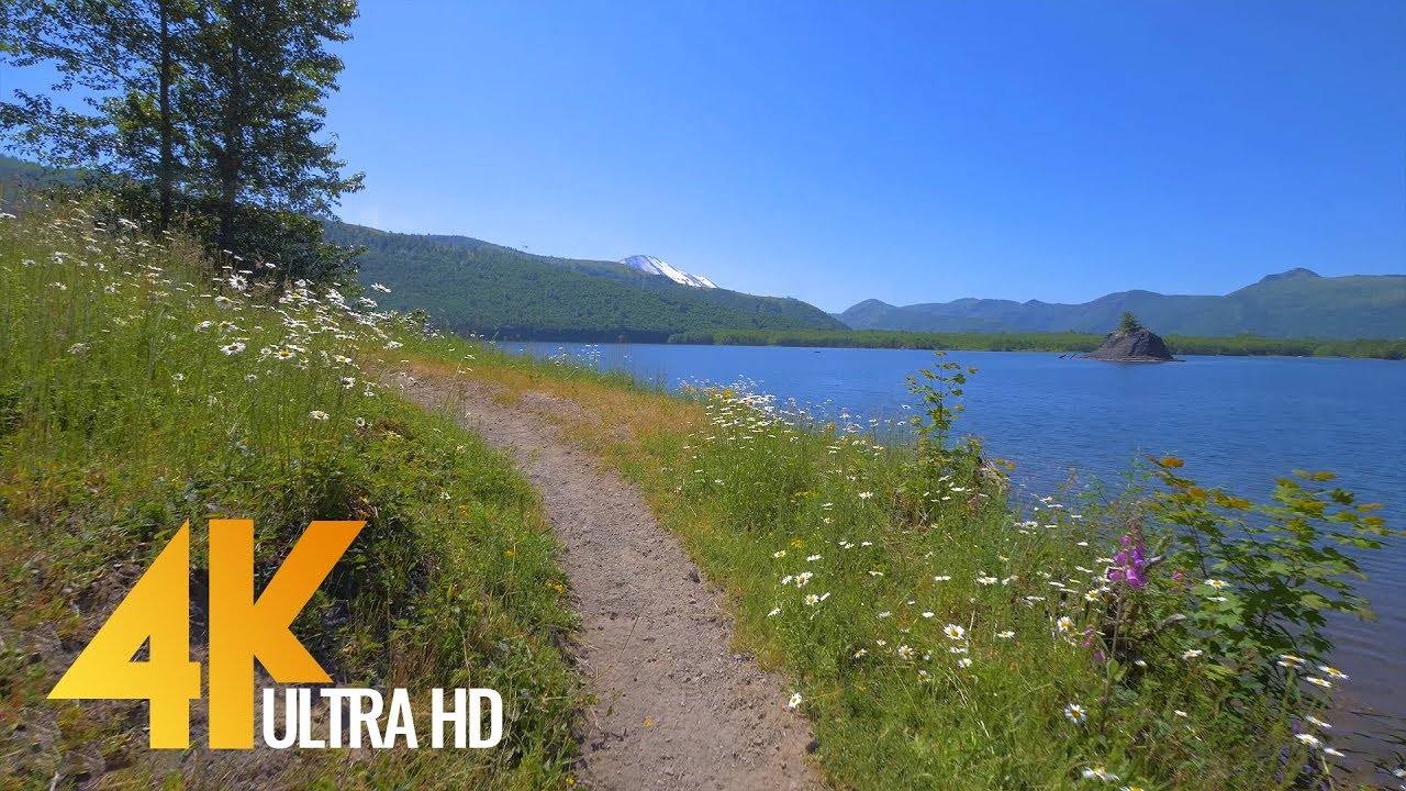 4K Nature Walk - 4.5 HRS Forest/River Fabulous Views with Calm Music and Birds Chirping