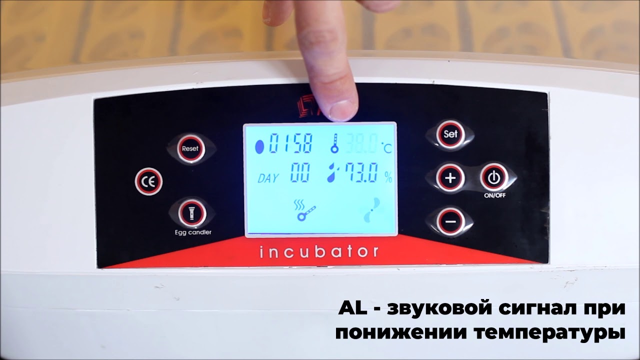 Настройка инкубатора HHD 56 LED