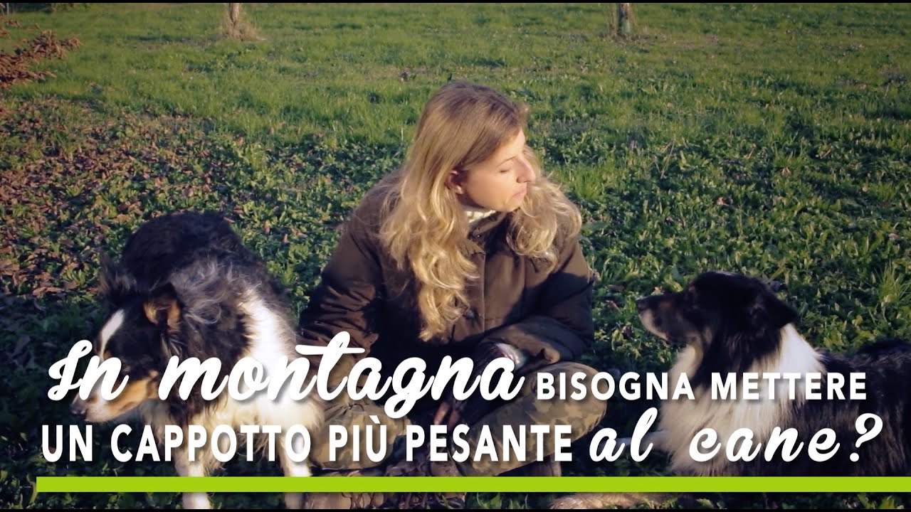 TUTORIAL BAU BOYS - Cappottino al cane in montagna