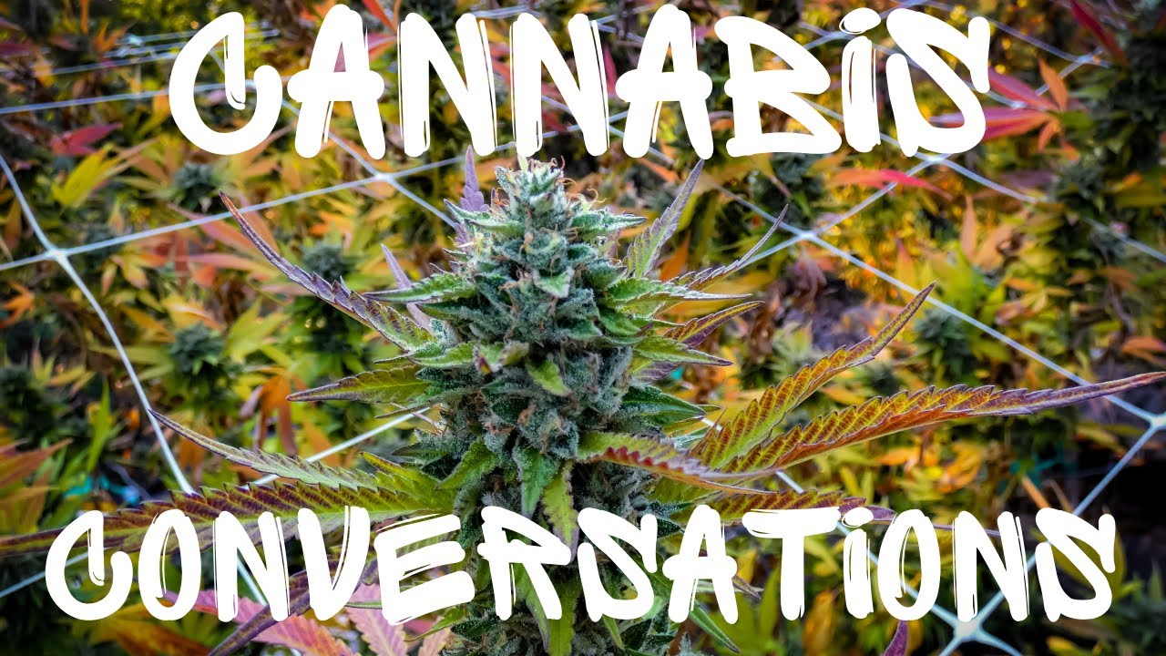 Cannabis Conversations with The 420 Education Station