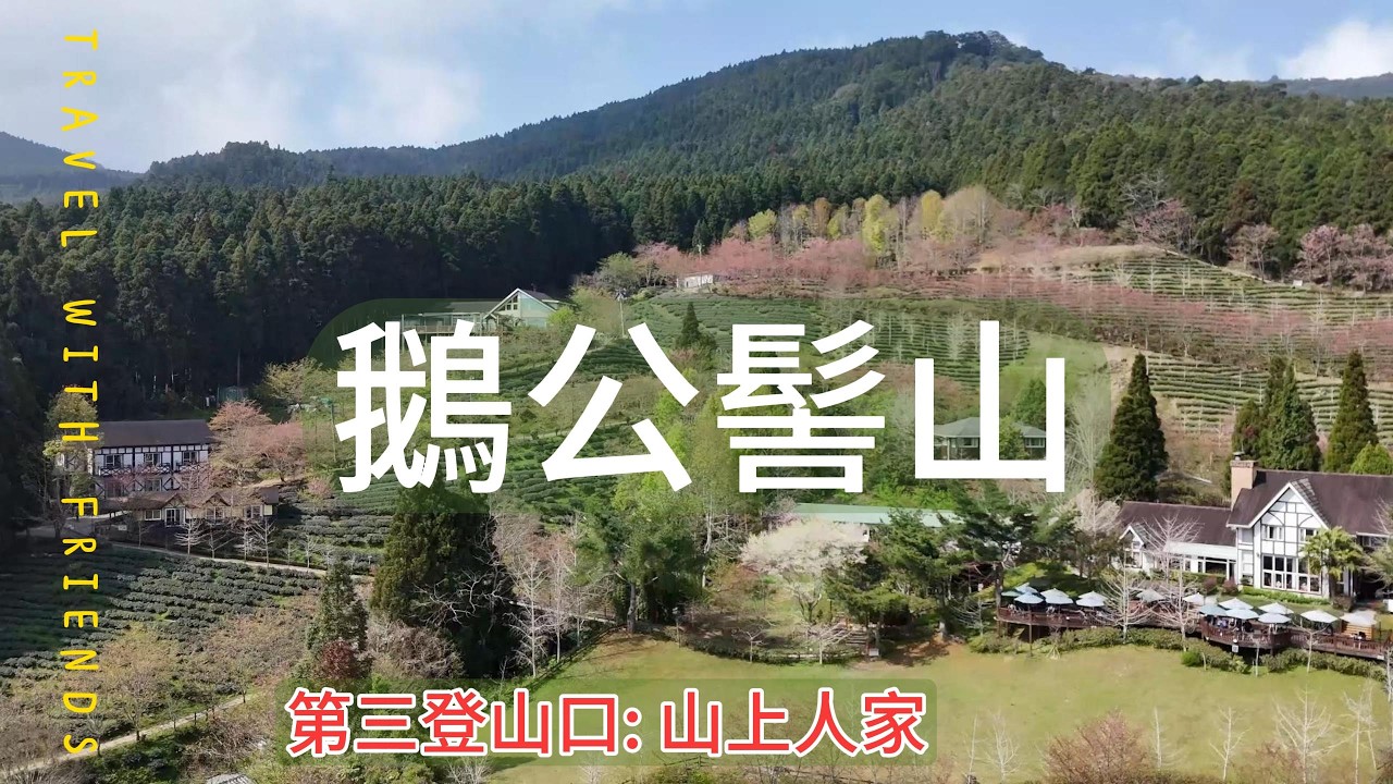 山上人家登鵝公髻山｜夢幻柳杉森林步道，幸運遇見一隻可愛小山羌｜Taiwan