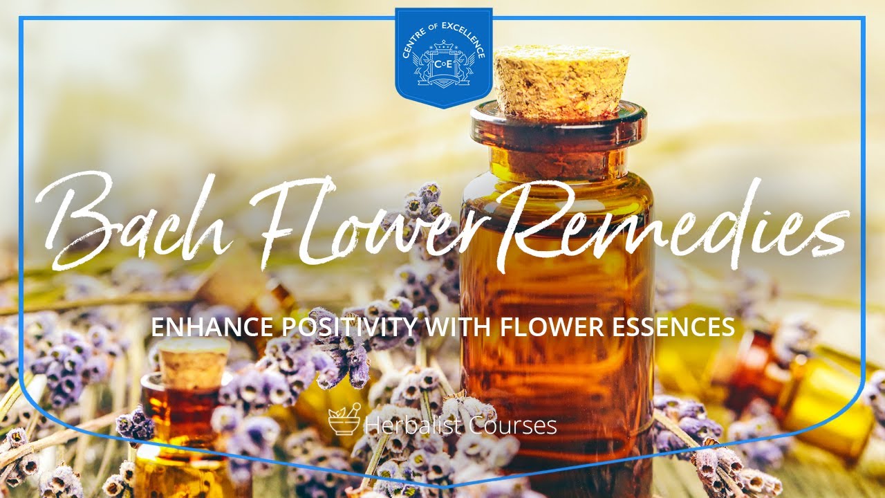 Bach Flower Remedies Diploma Course | Centre of Excellence | Transformative Education & eLearning