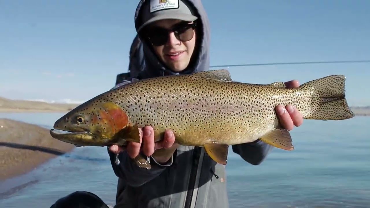 Fly Fishing for Big Cut-bow Trout | Spinney Mountain Reservoir Opening Day 2022 Highlights
