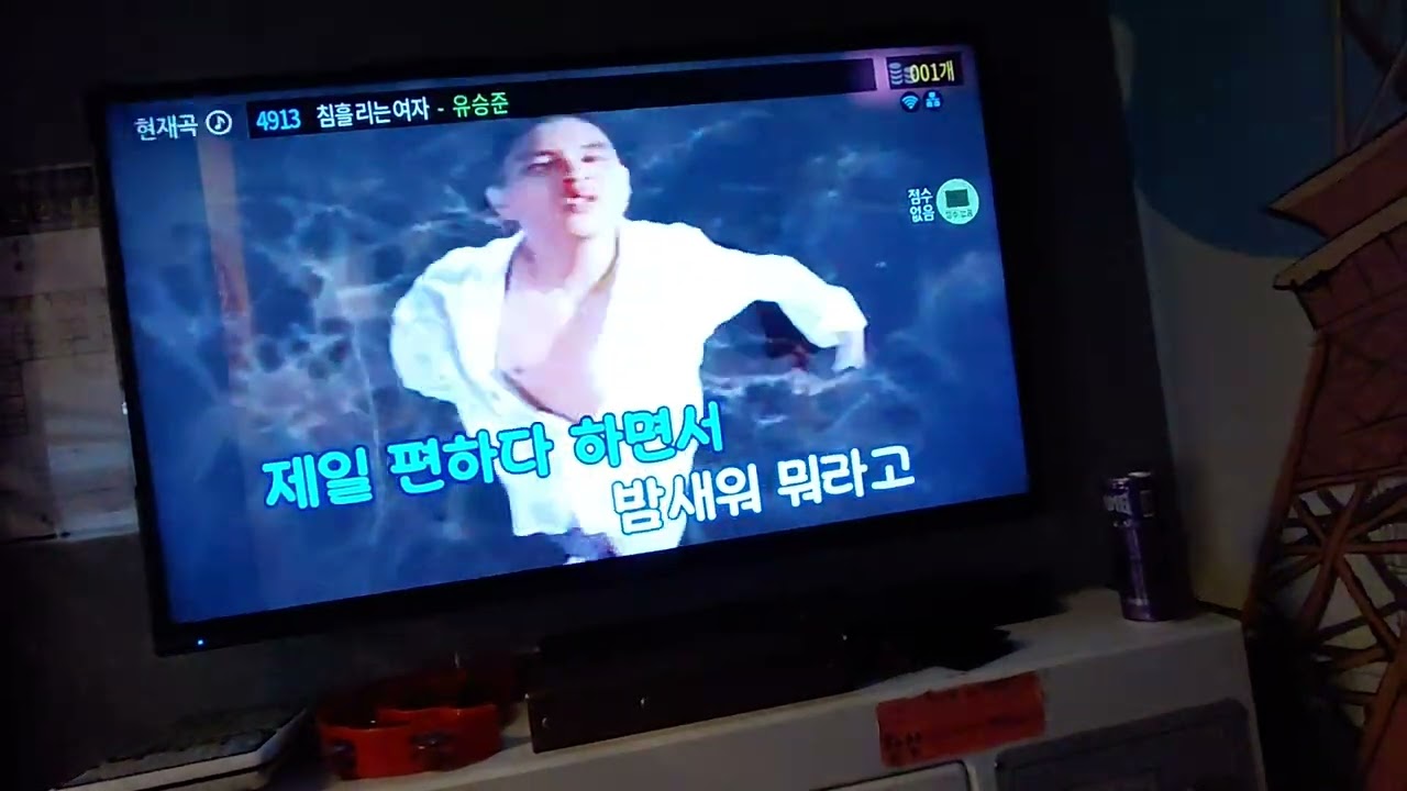[영상 노래방] 유승준-침 흘리는 여자(문희연 커버)