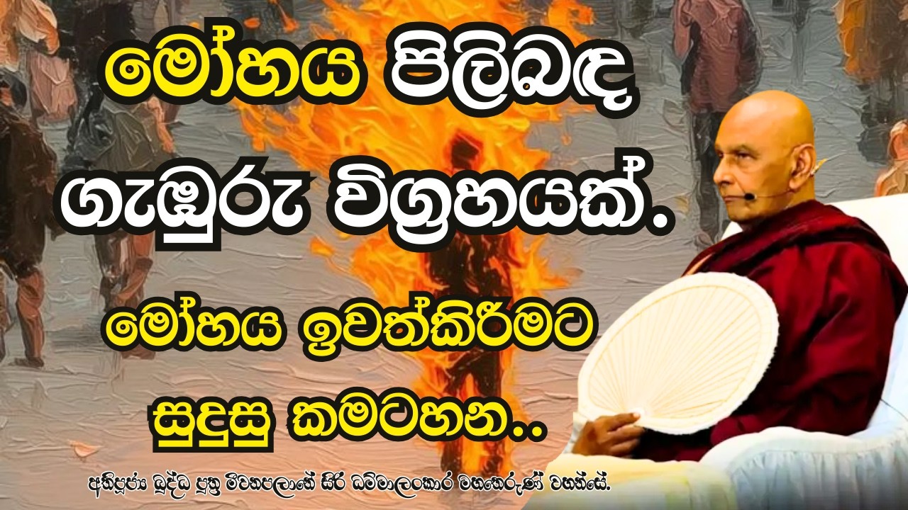 මෝහය පිලිබඳ ගැඹුරු විග්‍රහයක්.මෝහය ඉවත්කිරීමට සුදුසු කමටහන..ඔබ ලග තිබෙන මෝහය ඉවත් කරමු..