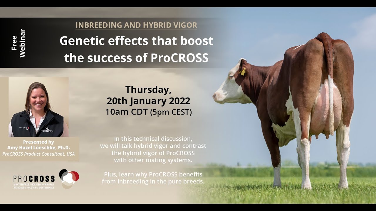 Inbreeding and hybrid vigor: Genetic effects that boost the success of ProCROSS -  Highlights
