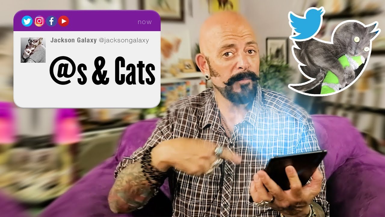 @s & Cats with Jackson Galaxy // Twitter