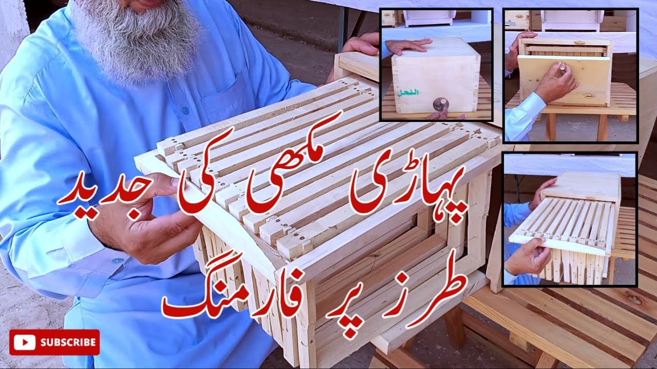 comparative Revie of Caranna  Bees in Traditional and Modern Way