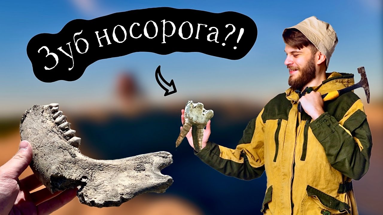 Окаменелости из ЛЕДНИКОВОГО ПЕРИОДА! Поиск костей МАМОНТА и мамонтовой мегафауны!
