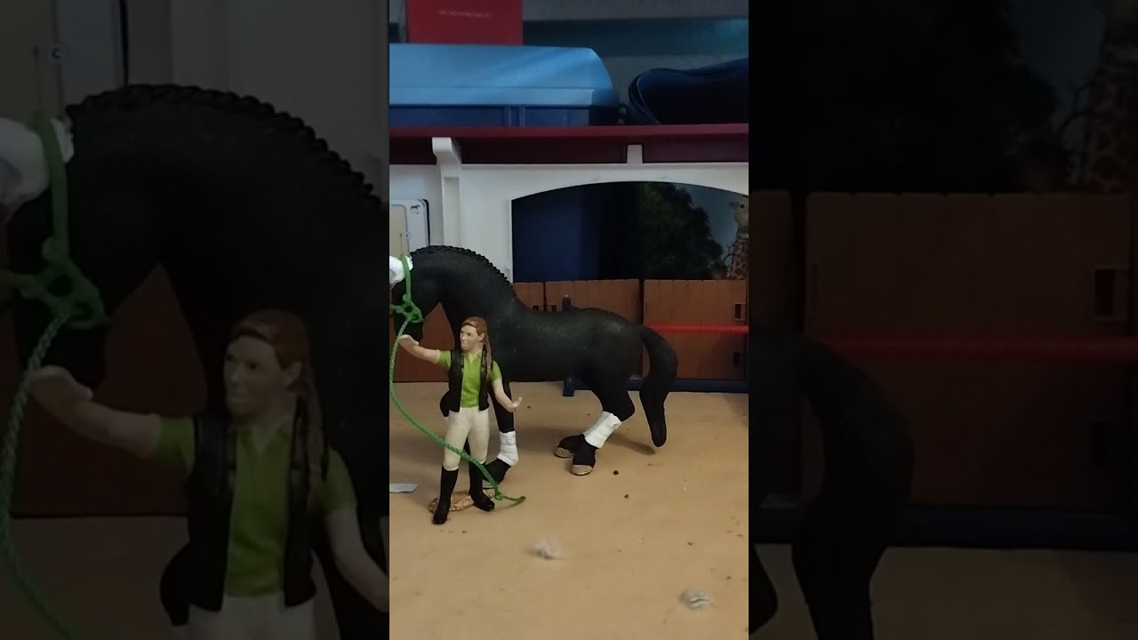 Auf der Pferdeauktion ( ist ein Pferd dabei)
