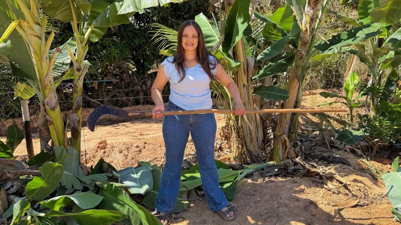 limpando os pes de banana e aproveitando para alimentar as galinhas