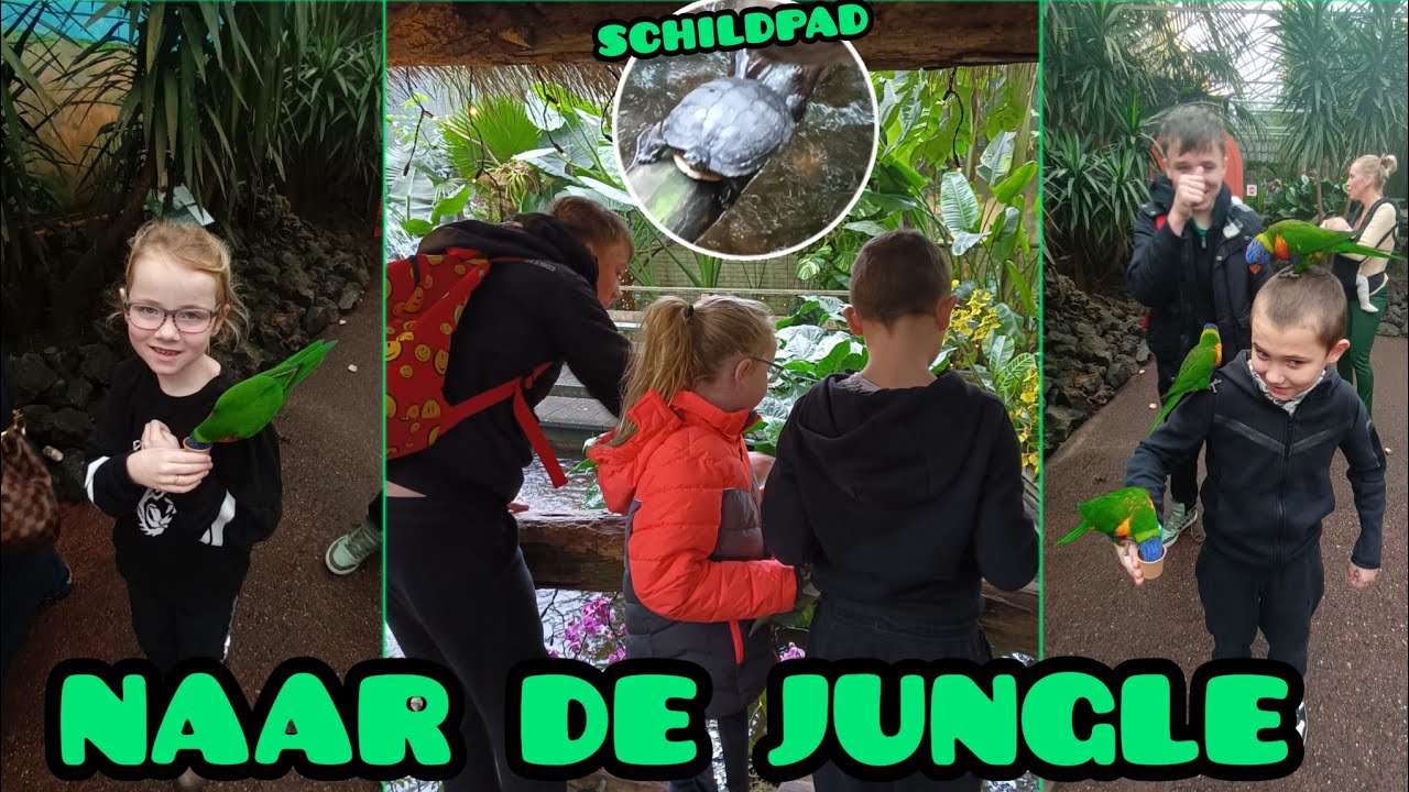 WAUW! WAT IS HET HIER MOOI IN DE JUNGLE 🐵🦋🦜 / DE FAMILIE SNIJDERS // VLOG #495
