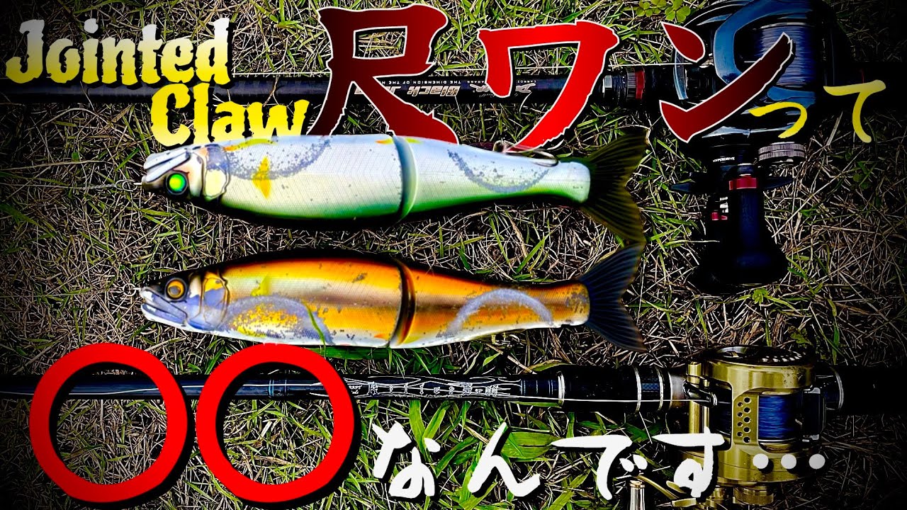 バス釣り　ジョイクロ尺ワンって実は&hellip; プチ鳶的取扱説明！
