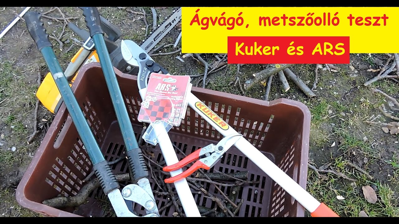 1896. Metszés ezerrel. 🌿 Érdemes-e drága, jó minőségű ágvágót venni? Kuker és ARS ollók tesztje. ✂