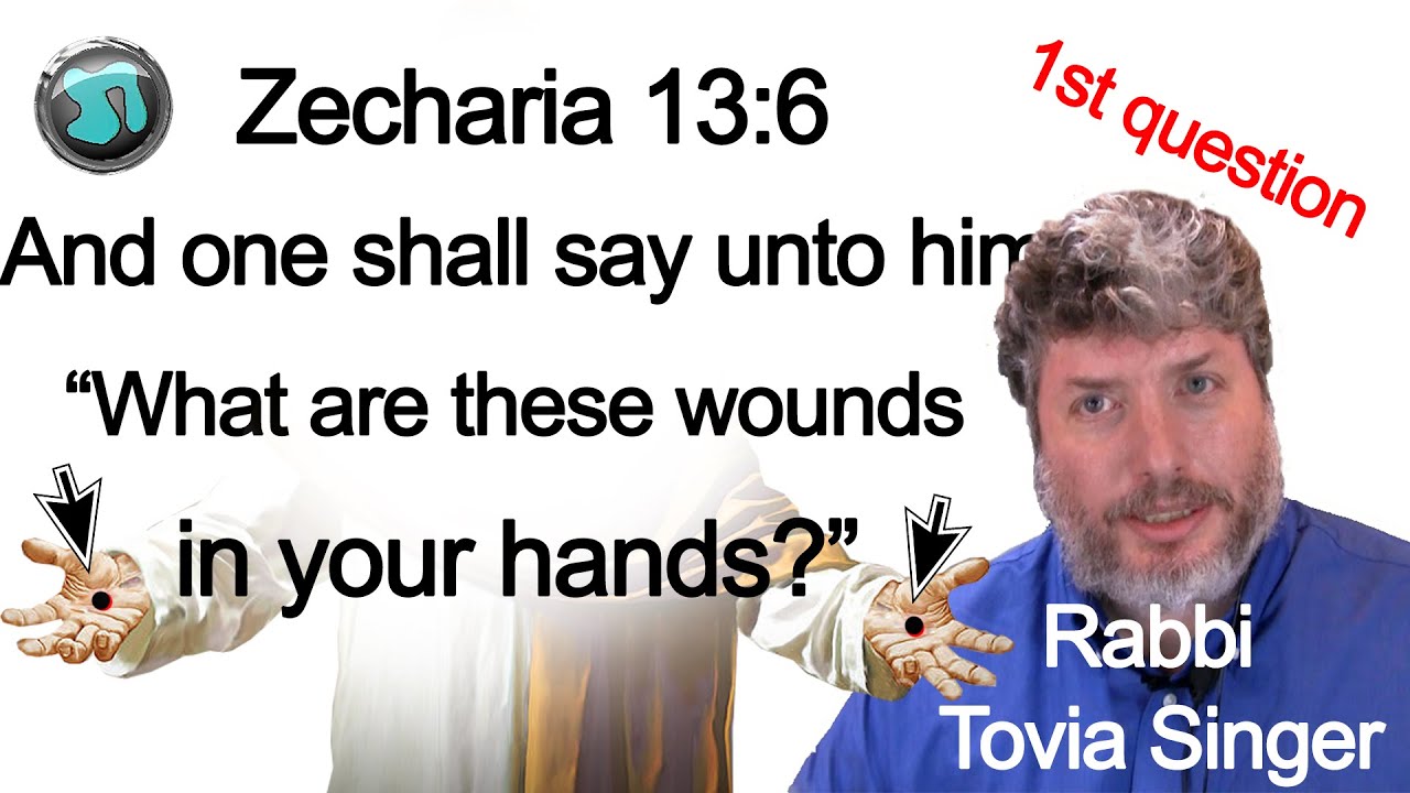 How Does God Feel About the Righteous NON-Jew? (5th question) Rabbi Tovia Singer - 1745