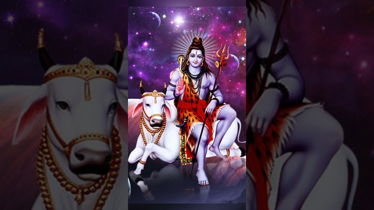 Today's Aquarius Horoscope #short video #horoscope #kumbh