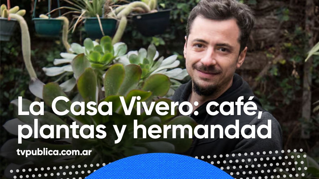 La Casa Vivero: Un Proyecto Familiar - Nuevas Tardes