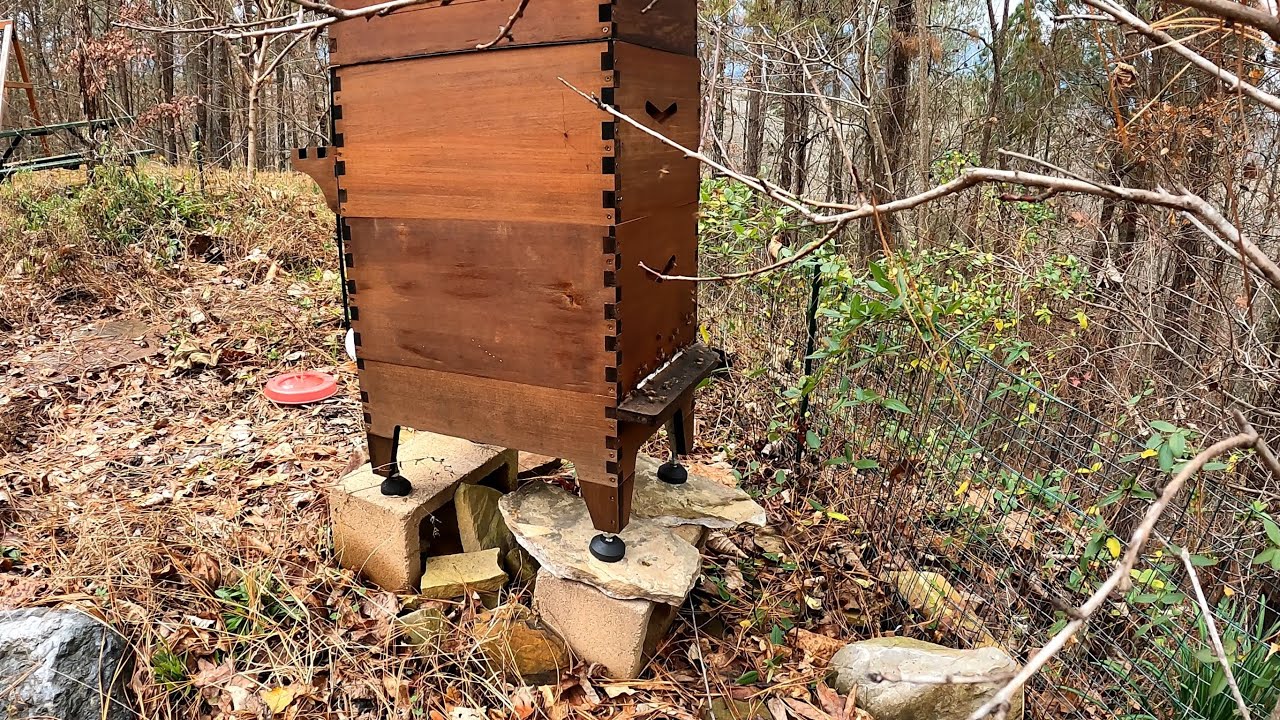 How To Make Sugar Water For The Bees - #Flowhive
