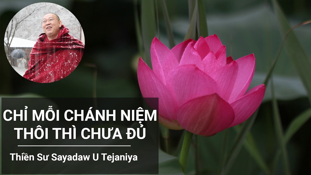 Chỉ Chánh Niệm Thôi Thì Chưa Đủ - Thiền Sư Sayadaw U Tejaniya